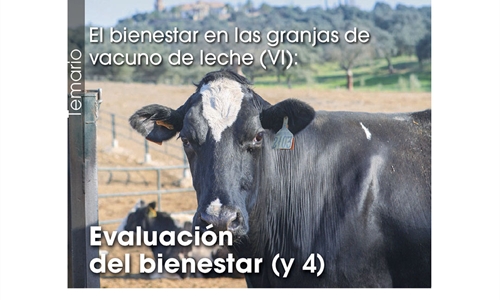 El bienestar en las granjas de vacuno de leche (VI): Evaluación del...