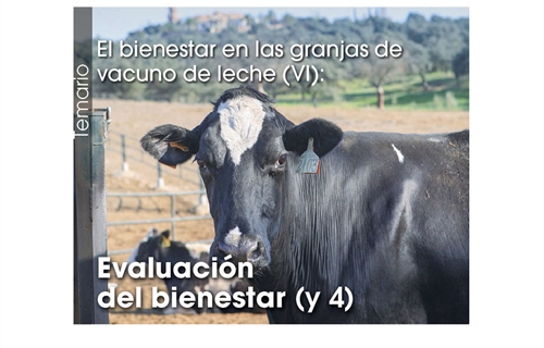 El bienestar en las granjas de vacuno de leche (VI): Evaluación del...