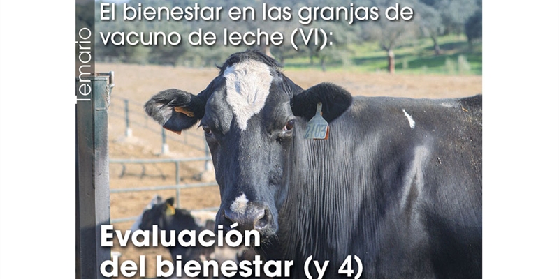 El bienestar en las granjas de vacuno de leche (VI): Evaluacin del bienestar (y 4)