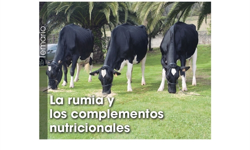 La rumia y los complementos nutricionales