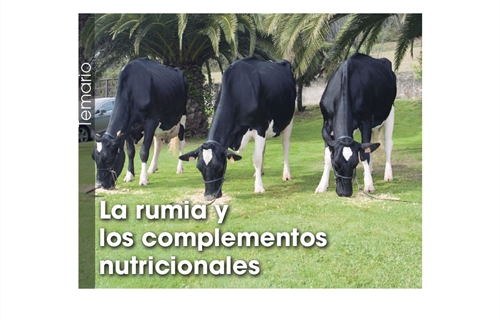 La rumia y los complementos nutricionales