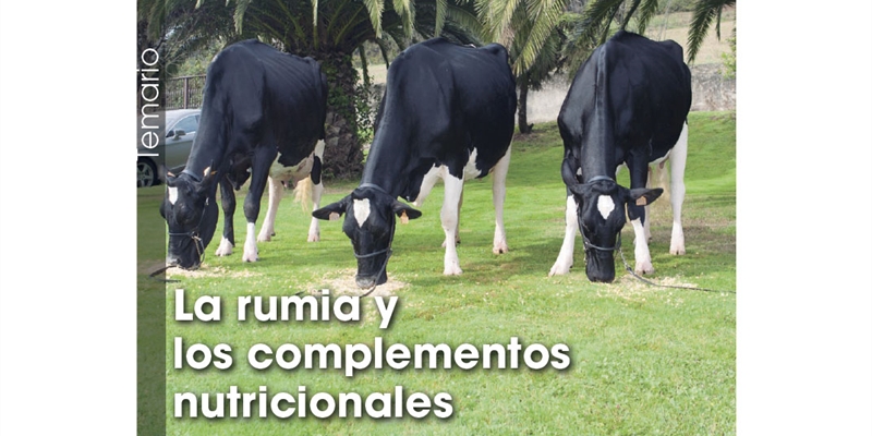 La rumia y los complementos nutricionales