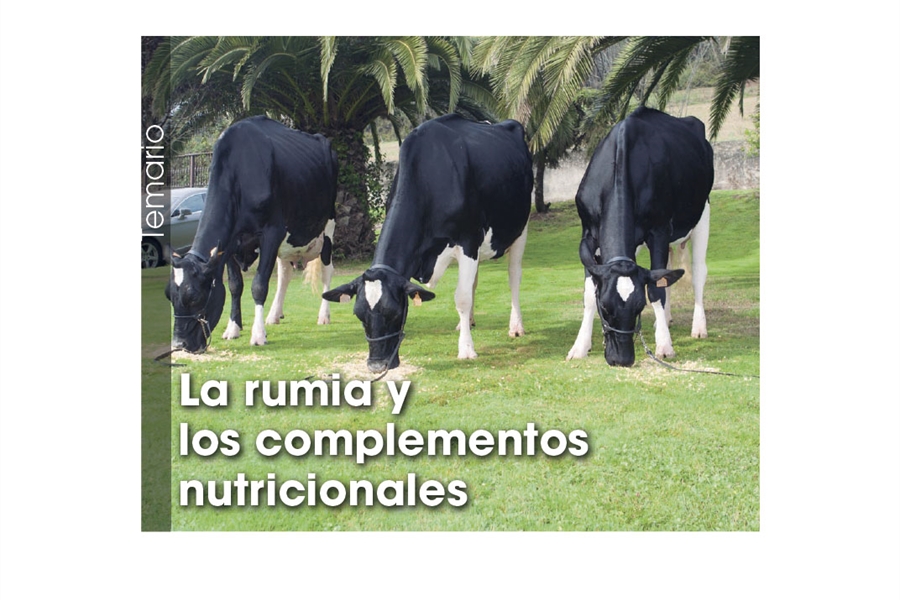 La rumia y los complementos nutricionales
