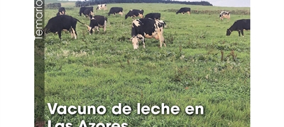 Vacuno de leche en Las Azores