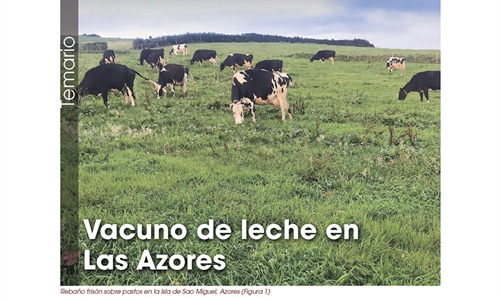 Vacuno de leche en Las Azores