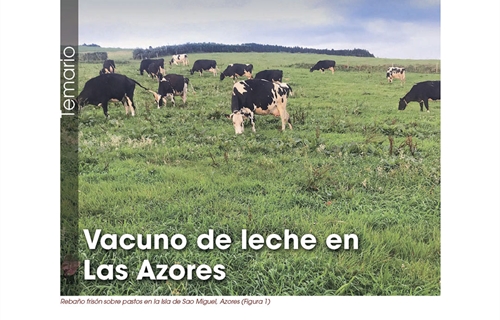 Vacuno de leche en Las Azores