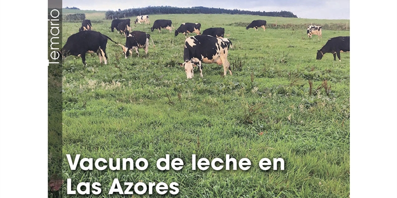 Vacuno de leche en Las Azores