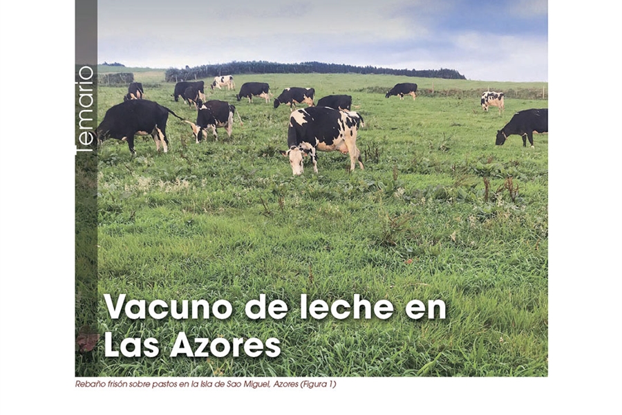 Vacuno de leche en Las Azores