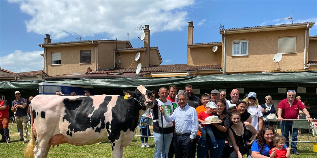 Cantn Karaja Montana, Vaca Gran Campeona del Concurso de Ganado Frisn...