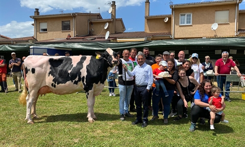 Cantn Karaja Montana, Vaca Gran Campeona del Concurso de Ganado Frisn...