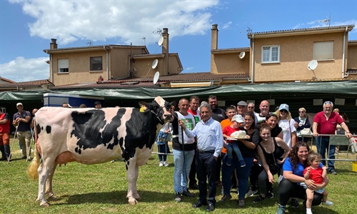 Cantn Karaja Montana, Vaca Gran Campeona del Concurso de Ganado Frisn...