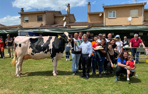 Cantn Karaja Montana, Vaca Gran Campeona del Concurso de Ganado Frisn...