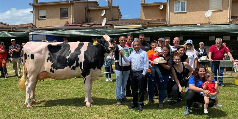 Cantn Karaja Montana, Vaca Gran Campeona del Concurso de Ganado Frisn de Galizano 2022