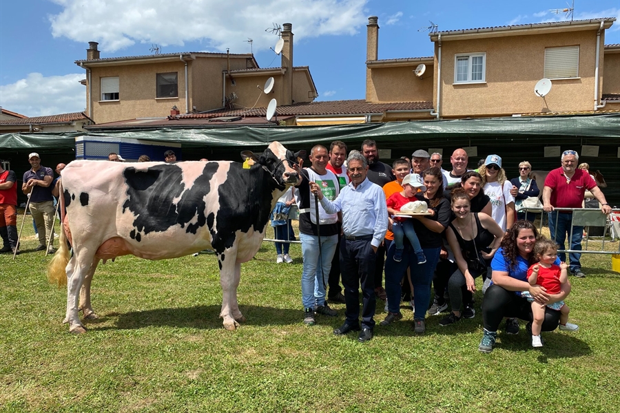 Cantn Karaja Montana, Vaca Gran Campeona del Concurso de Ganado Frisn...