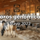 Nuevos toros genmicos con Prueba Oficial: Evaluacin genmica de mayo 2022