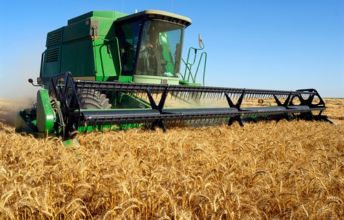 Los costes de producción agrícola suben un 26 % en un año y solo el de...
