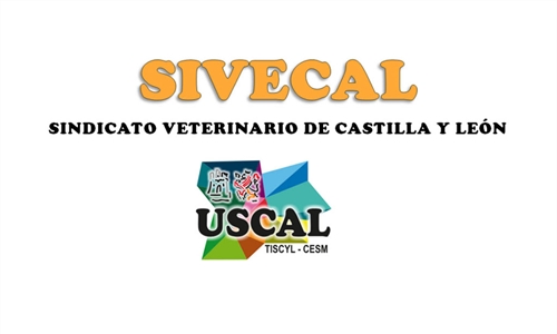 Preocupacin entre los veterinarios de Castilla y Len por las palabras...