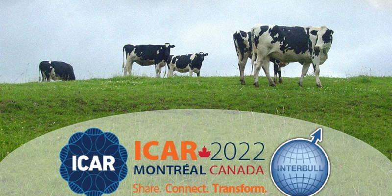 Ponencia de Noureddine Charfeddine (CONAFE) en el Congreso ICAR-Interbull 2022