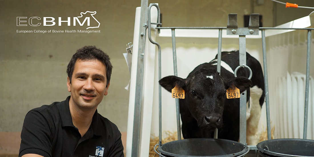 El Colegio Europeo de Medicina Bovina participar en el 31 Congreso...