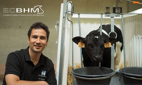 El Colegio Europeo de Medicina Bovina participar en el 31 Congreso...