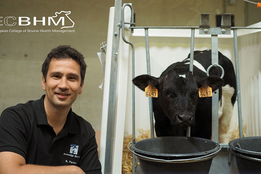 El Colegio Europeo de Medicina Bovina participar en el 31 Congreso...