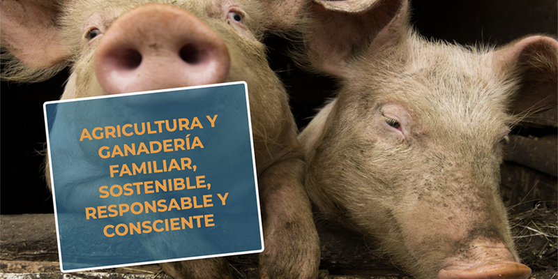 #RealidadGanadera UPA: Agricultura y ganadera familiar, sostenible, responsable y consciente