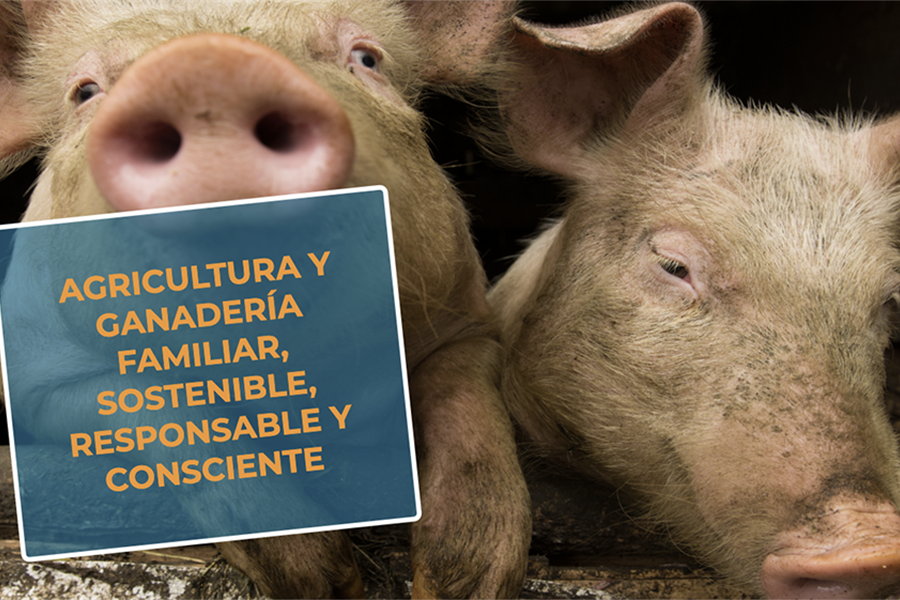 #RealidadGanadera UPA: Agricultura y ganadera familiar, sostenible,...