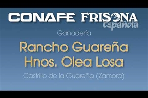 Vídeo: Visitamos la ganadería Rancho Guareña Hnos. Olea Losa (Castrillo de la Guareña, Zamora)