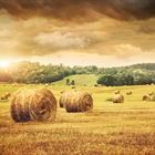 El Gobierno aprueba el proyecto de ley con las normas para la nueva Política Agraria Común (PAC)