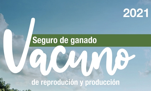 Agroseguro participa en el 36 Congreso de la Asociacin Internacional...