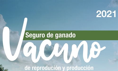 Agroseguro participa en el 36 Congreso de la Asociacin Internacional...