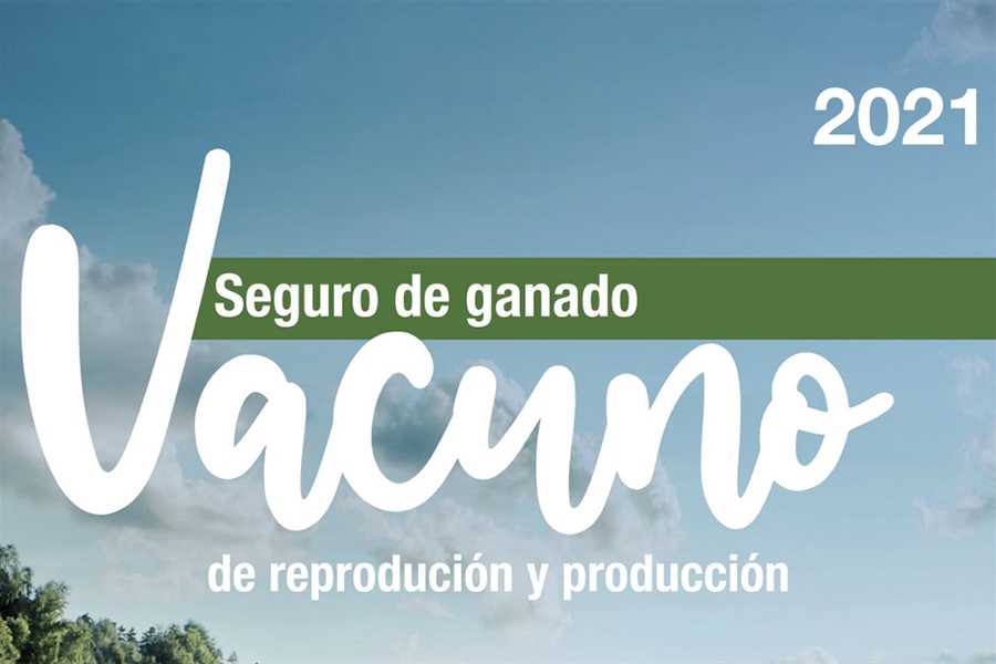 Agroseguro participa en el 36 Congreso de la Asociación Internacional...