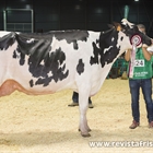 Badiola Doorman Delilah, Vaca Gran Campeona de Asturias 2022