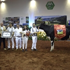 CONAFE, presente en el Concurso Nacional Portugus de Raza Frisona 2022