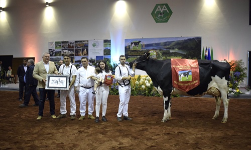 CONAFE, presente en el Concurso Nacional Portugus de Raza Frisona 2022