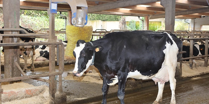 El MAPA saca a consulta pblica la norma sobre los controles oficiales en materia de bienestar animal