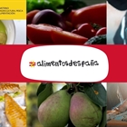 El MAPA y la Universidad de Cádiz colaborarán en la enseñanza de la cultura gastronómica