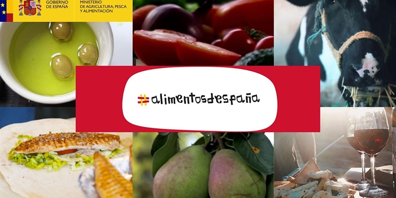 El MAPA y la Universidad de Cádiz colaborarán en la enseñanza de la cultura gastronómica
