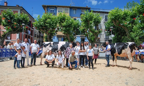 Murrieta Doorman Garaia, Vaca Gran Campeona de Irn 2022