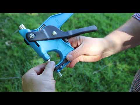 CONAFE Gen�mico: �C�mo tomar la muestra de cart�lago para el genotipado...