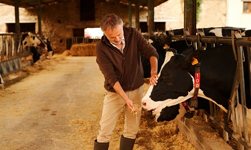 “El sector lácteo genera más de 13.000 millones de euros al año y...