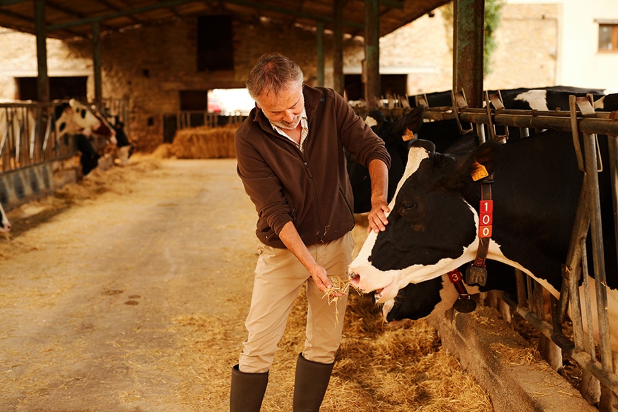 “El sector lácteo genera más de 13.000 millones de euros al año y...