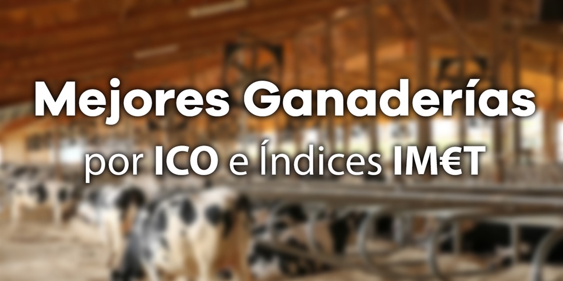 Mejores Ganaderas por ndice Combinado (ICO) e ndices IMT de Junio 2022
