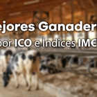 Mejores Ganaderas por ndice Combinado (ICO) e ndices IMT de Junio 2022