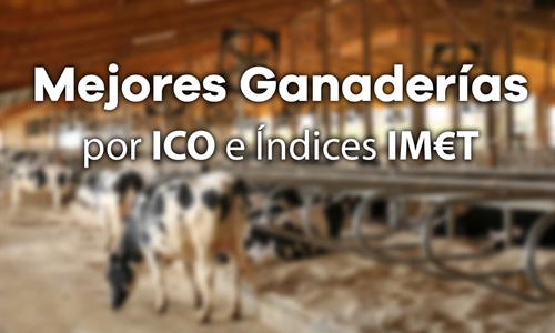 Mejores Ganaderas por ndice Combinado (ICO) e ndices IMT de Junio 2022