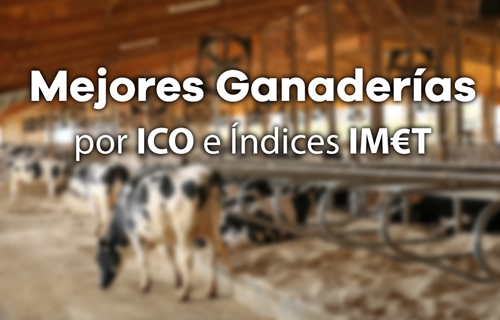 Mejores Ganaderas por ndice Combinado (ICO) e ndices IMT de Junio 2022