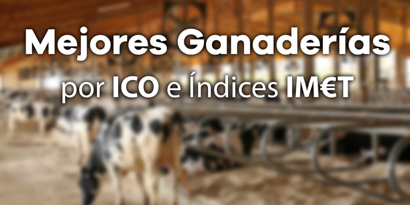 Mejores Ganaderas por ndice Combinado (ICO) e ndices IMT de Junio 2022