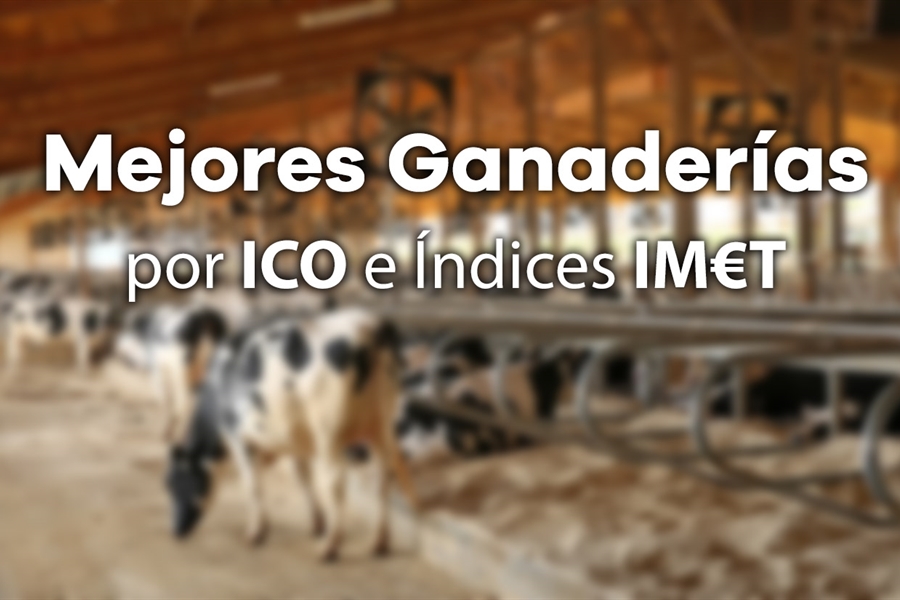 Mejores Ganaderas por ndice Combinado (ICO) e ndices IMT de Junio 2022