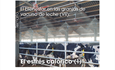 El bienestar en las granjas de vacuno de leche (VII): El estrés calórico (1)