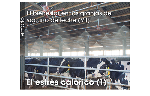 El bienestar en las granjas de vacuno de leche (VII): El estrés...